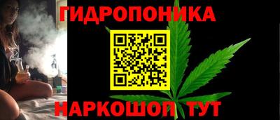 стаф Рязань