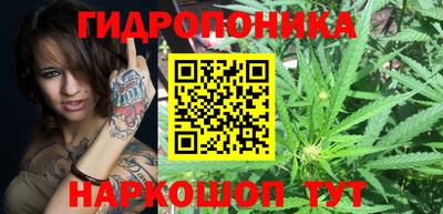 стаф Рязань